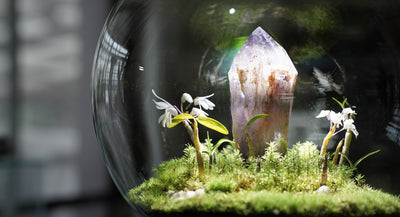 Interviews:#4 村瀬 貴昭(植栽家)"生命を灯す 翠緑の開拓者" 前半