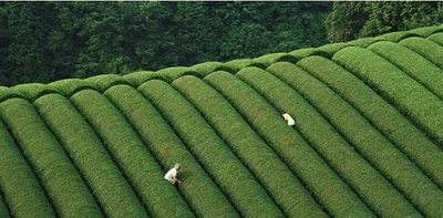 スペシャルウィーク第2弾!7/7(日)よりNEUTRALWORKS.STANDにてスタート!