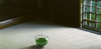 入荷待ちのMatchaウェアに関して