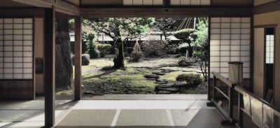 Health Benefits of Matcha #1