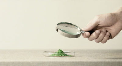 価格改定のお知らせ