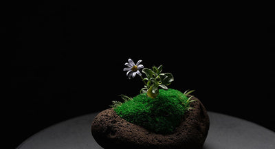 Interviews#8 宇平 剛史(Artist/Designer)"本質の抱擁"