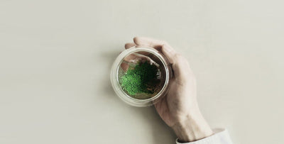 ホリデーシーズンにおすすめカクテルレシピ "Waltz of the Snowflakes"