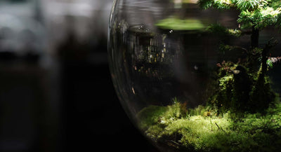 Interviews:#3 北嶋 竜樹(作家)"食が繋ぐ世界、食と紡ぐ物語" 後半