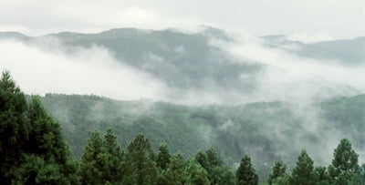 冬季の配送業務お休みのご案内